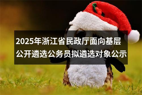 2025年浙江省民政厅面向基层公开遴选公务员拟遴选对象公示 图片