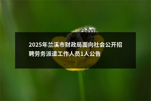 2025年兰溪市财政局面向社会公开招聘劳务派遣工作人员1人公告 图片
