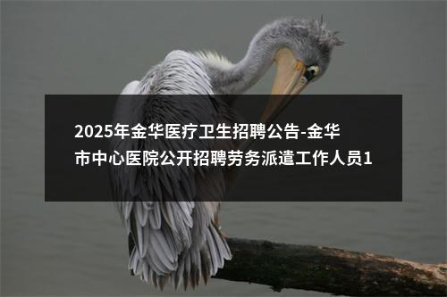 2025年金华医疗卫生招聘公告-金华市中心医院公开招聘劳务派遣工作人员15人公告 图片